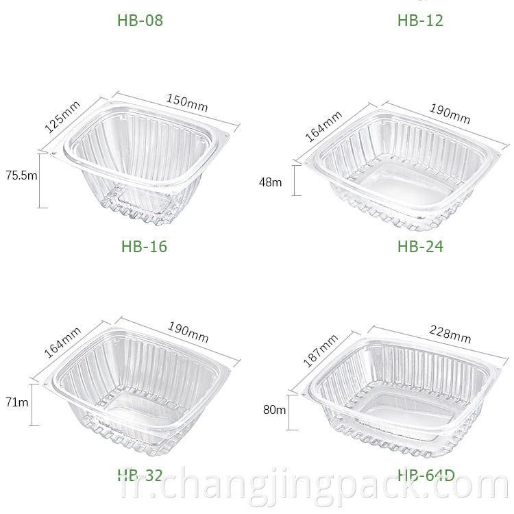 salad containers tray for food packing